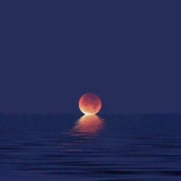 Meet your Posher, Ruth - Picture 1 of 1